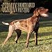 German Shorthaired Pointers 2001 Calendar