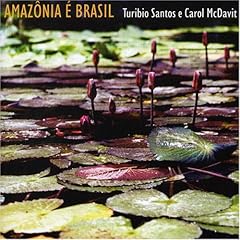 Amazonia e Brasil cover