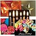 POSTCARDS: Birthday Assortment II, box of 60 postcards, 12 each of 5 different designs