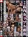 盗撮店内カップル露出 [DVD]