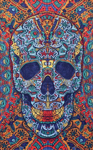 Sunshine Joy 3D Skull Tapestry - Beach Sheet - Hanging Wall Art (30X45 inches)