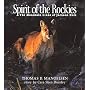 Spirit of the Rockies: The Mountain Lions of Jackson Hole