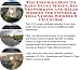 The Insider's How To Earn Extra Money, Biz Networking and Sales Models for Fitness & Yoga Videos Web Biz 3 CD Course