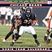 Chicago Bears 2010 Wall Calendar