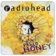 Pablo Honey [Explicit]