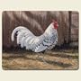 Barnyard Roosters 15 x 11.5-inch Tempered Glass Cutting Board by Highland Graphics