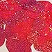 Teardrop Sequin 1.5