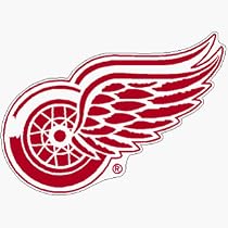 Detroit Red Wings Precision Cut Acrylic Magnet