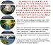Book The Quick and Easy Generate Extra Cash, Marketing and Inner Game for High Protein Diet Products On-line Businesses 3 CD Pack