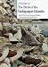 A Guide to the Birds of the Galapagos Islands