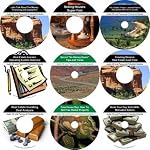 The Inventive 9 CD No Down Payment, Wealth Generating, Real Estate Mentoring System book cover