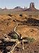 Jigsaw of sandstone buttes and pinnacles of rock in the Monument Valley, seen from the... from Ardea