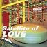 Satellite of LOVE―ラブホテル・消えゆく愛の空間学 (ストリートデザインファイル)