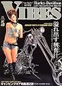 VIBES (バイブス) 2007年 05月号 [雑誌]