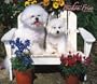 For the Love of Bichon Frise 2007 Deluxe Calendar