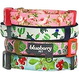 Blueberry Pet 3/4-Inch Spring Scent Inspired Floral Rose Basic Polyester Nylon Dog Collar, Medium, Baby Pink