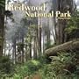 Redwood National Park 2006 Calendar