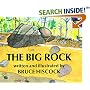 The Big Rock (Aladdin Picture Books)