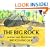 The Big Rock (Aladdin Picture Books)