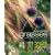 RHS Grasses (Royal Horticultural Society)
