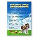 Cavalier King Charles Property Laws Fridge Magnet No 2 Funny