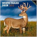 White-Tailed Deer 2013 Square 12X12 W...