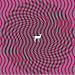Deerhunter-Cryptograms/Flourescent Grey [Vinyl]