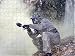 Jigsaw of FA Cup Preview - Chelsea vs. Southend - SUFC Team Paintball from Southend United
