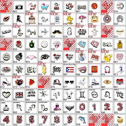 Choose 10pc of Mix Floating Charms for Floating Locket Free Shipping (Get Free Locket with Purchase over $17.98) Exclusively Sold by HOTBUYKING