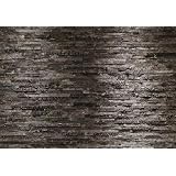 Brewster 8-700 Komar Wall Mural with Paste Birkenrinde, 12-Ft 1-Inch by 8-Ft 4-Inch