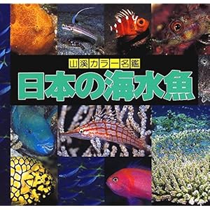 【クリックで詳細表示】日本の海水魚 (山渓カラー名鑑) [大型本]