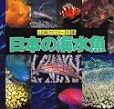 日本の海水魚 (山渓カラー名鑑)