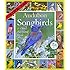 Audubon Songbirds & Other Backyard Birds Picture-A-Day Wall Calendar 2016