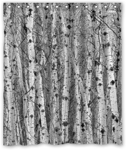 Best Pretty Aspen Shower Curtain, Shower Rings Included 100% Polyester Waterproof 60" x 72"