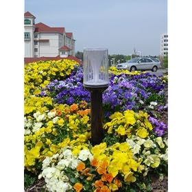 Decorative Pole Solar Light GS-38 White Light from Decorative Electric Lighting