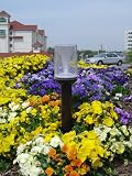 Decorative Pole Solar Light GS-38 White Light