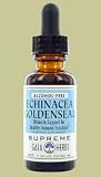 Echinacea/Goldenseal Extract No Alchohol - 1 oz. - Liquid