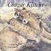 Cougar Kittens