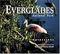 Everglades National Park Impressions