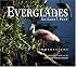 Everglades National Park Impressions