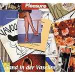 Sand in der Vaseline: K?nstlerb?ucher 1980-2002 book cover