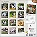 Rat Terriers - 2016 Calendar 12 x 12in
