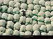 Ballots de coton by Yann Arthus-Bertrand. Size 31.50 X 21.25 Art Poster Print