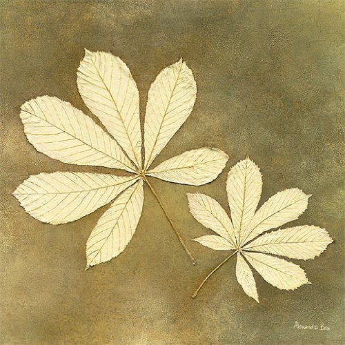 Eurographics ALB1003 Alexandra Bex, Horse Chestnut Leaf 30 x 30 cm, Hochwertiger Kunstdruc Preisvergleich