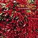 Chili Peppers 2007 Calendar