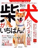 柴犬がいちばん!―柴のこころ、和のこころ。きりり柴犬フォトコレクション (Seibido mook)