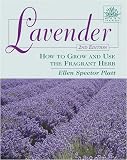 Lavender: How to Grow and Use the Fragrant Herb