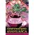 Sacred Vine of Spirits: Ayahuasca