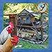 City Chickens & Their Coops 2016 Wall Calendar