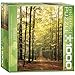 Forest Path Puzzle, 1000-Piece